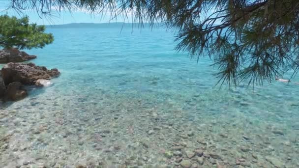 Blick Auf Das Meer Der Makarska Riviera Mit Einigen Ästen — Stockvideo