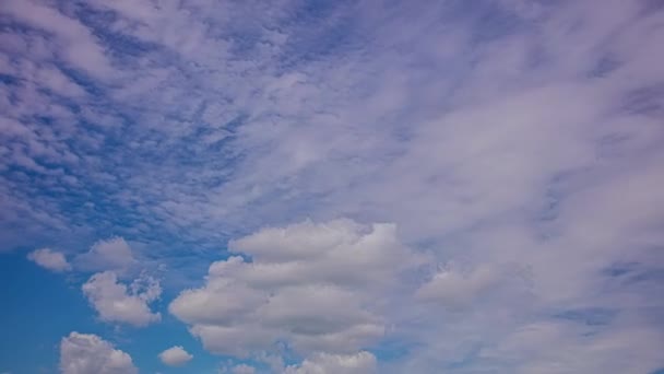 昼間とは異なる方向の雲の動きのタイムラプスショット 青空に浮かぶ白い線状の雲 — ストック動画