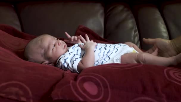 Klidný Rozkošný Novorozenec Dívám Matku Zatímco Leží Polštáři Pohovka Slider — Stock video