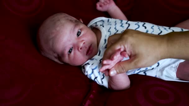 Olie Wordt Gemasseerd Pasgeboren Baby Jongens Hand Benen Door Moeder — Stockvideo