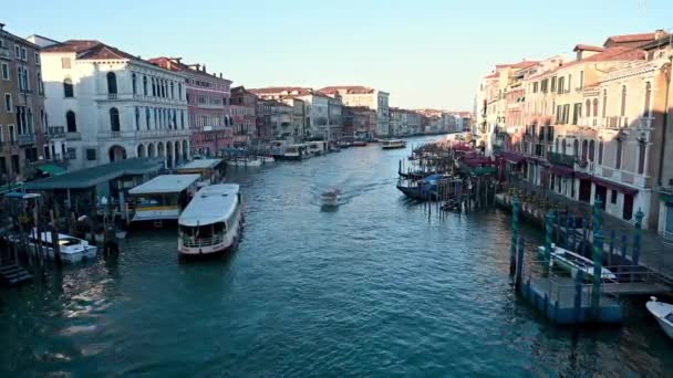 Bir Grup Turist Güneşli Bir Yaz Sabahı Venedik Teki Büyük — Stok video