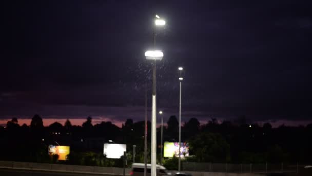 Помірний Дощ Видимий Холодному Світлі Вуличної Лампи Біля Автостради Окленді — стокове відео