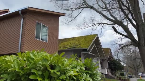 Bairro Histórico Subúrbio Seattle Washington Com Musgo Crescendo Nos Telhados — Vídeo de Stock