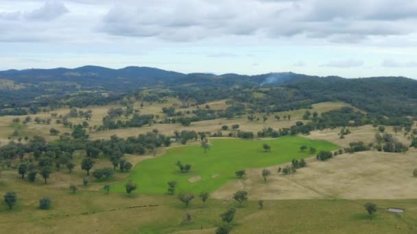 Dron Powietrzny Nad Australijskimi Terenami Wiejskimi Green Hill Gospodarstwami Owsianymi — Wideo stockowe