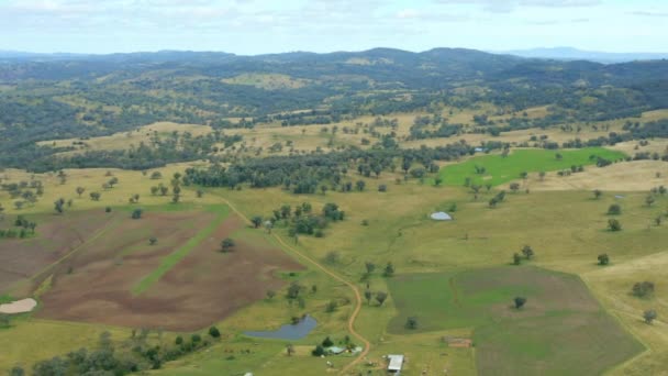 Paysage Australien Survol Drone Avec Champs Avoine Verts — Video