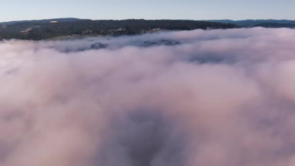 Küstennebel Legt Sich Über Die Niedrigen Lagen Von Santa Cruz — Stockvideo