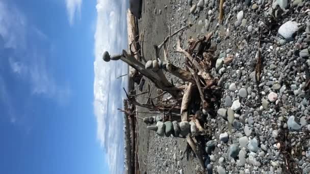 Bois Flotté Sur Rivage Rocheux Avec Des Cairns Pierre Équilibrés — Video