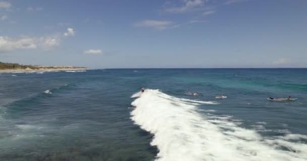 Aerial View Surfer Riding Wave Falling Sea Coast Isabela Puerto — Stock Video