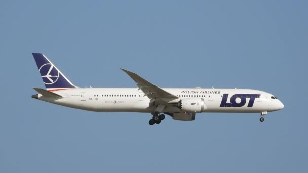 Lot Polonya Havayolları Boeing 787 Iniş Için Hazırlanıyor — Stok video