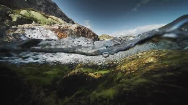 Een Onder Schot Van Ondiepe Rivier Onkruid Kelp Bedekken Rotsachtige — Stockvideo