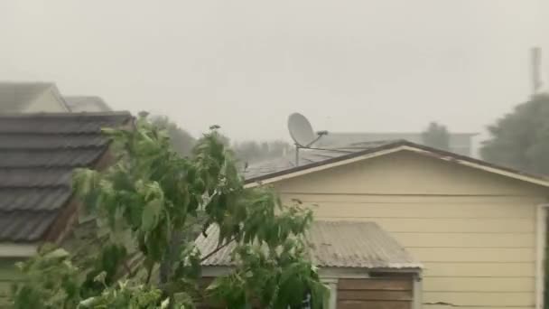 Fortes Pluies Vent Sur Les Toits Résidentiels Auckland Nouvelle Zélande — Video