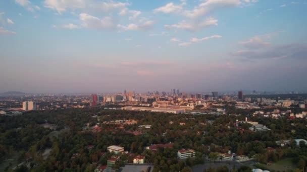 Drone Schot Van Stad Skyline Uitzicht — Stockvideo