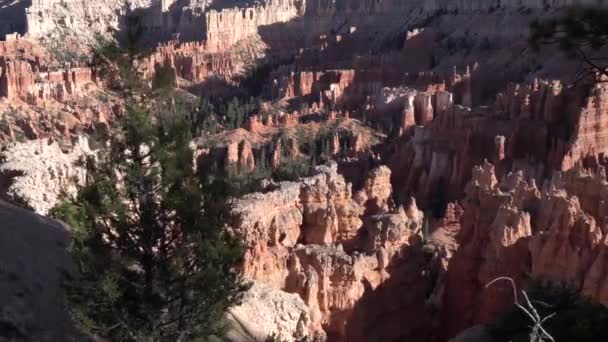 Der Sonnenaufgangspunkt Des Bryce Canyon Nationalparks Mit Kiefern Der Nähe — Stockvideo