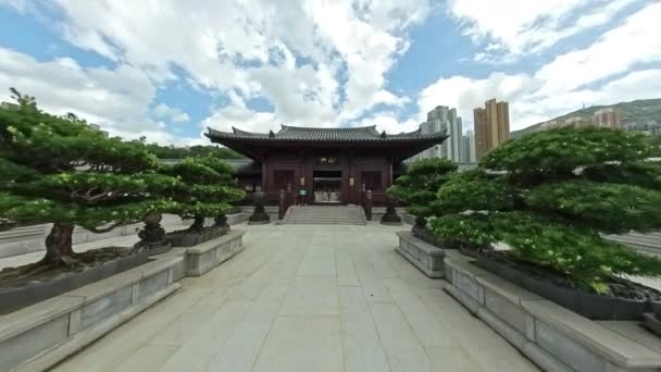 Bonsai Árvores Entrada Chi Lin Nunnery Diamond Hill Hong Kong — Vídeo de Stock