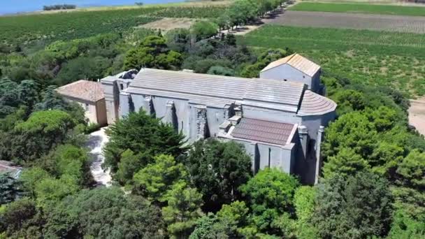 Abbazia Cattedrale Maguelone Vicino Monpellier Monumento Storico Francia Con Drone — Video Stock