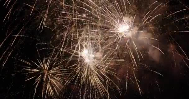 Fuochi Artificio Esplodono Heidelberg — Video Stock