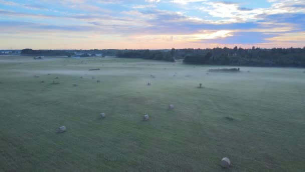 Haystacks Green Field Summer Sunset — Stock Video