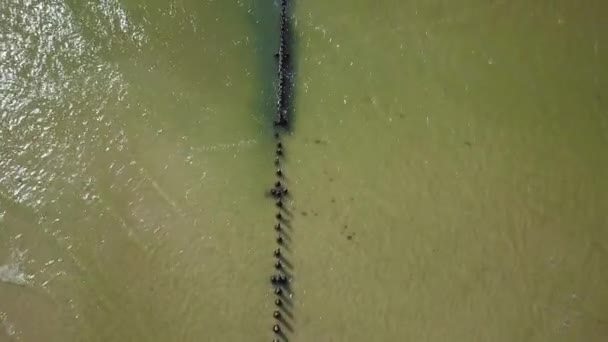 Luftaufnahme Der Ostseeküste Einem Sonnigen Tag Alter Holzsteg Weißer Sandstrand — Stockvideo