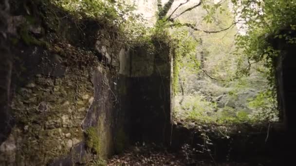 Murs Ruine Recouverts Mousse Réserve Naturelle Kennall Vale Ponsanooth Cornouailles — Video
