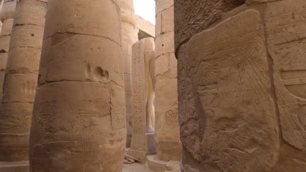 Imágenes Mano Los Grandes Pilares Dentro Del Templo Luxor — Vídeos de Stock