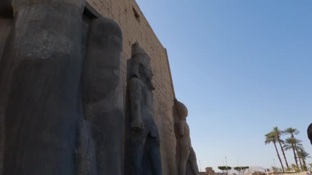 エジプトのルクソール神殿の詳細な彫像のクローズアップ — ストック動画