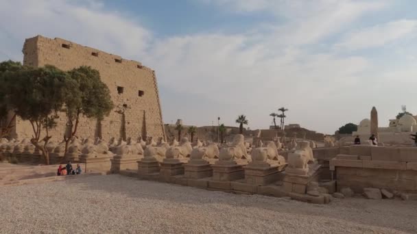Świątynia Karnak Wyrównane Posągi Przy Historycznym Zabytku Ujęcie Panoramiczne Luxor — Wideo stockowe