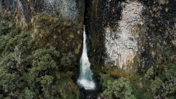 Cayambe Coca Reserve Hike Dengan Air Terjun Pegunungan Andes Dekat — Stok Video