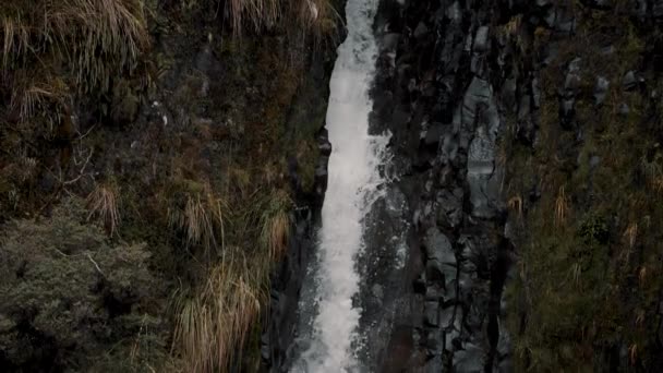 Cascata Tuffi Cascate Sui Massi Nel Parco Nazionale Cayambe Coca — Video Stock