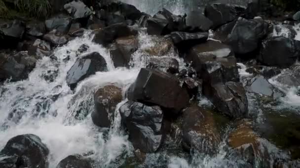 Air Terjun Idilik Taman Nasional Coca Cayambe Papallacta Ekuador Memiringkan — Stok Video