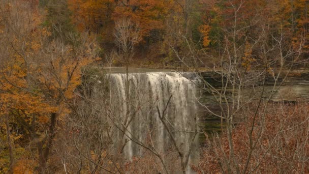 秋天的山与瀑布的溪流景观 — 图库视频影像