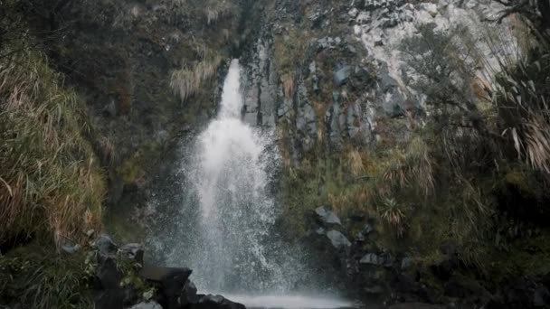 Cascada Que Cae Cascada Sobre Rocas Del Río Parque Nacional — Vídeo de stock