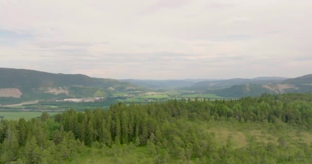 Riesige Fruchtbare Region Mit Großer Landwirtschaftlicher Produktion Trondelag Norwegen Luftaufnahme — Stockvideo