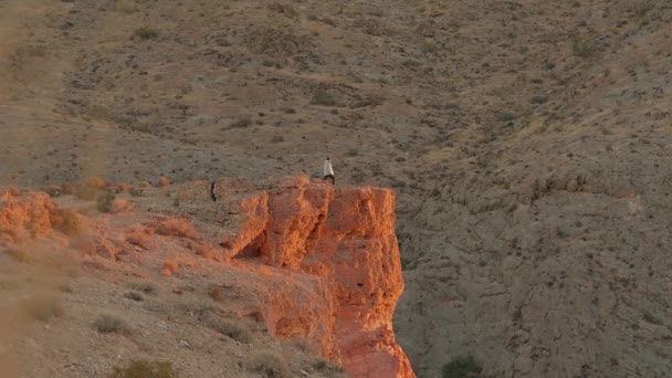 Muž Kráčí Vyhlídkové Místo Okraji Útesu Valley Fire State Park — Stock video