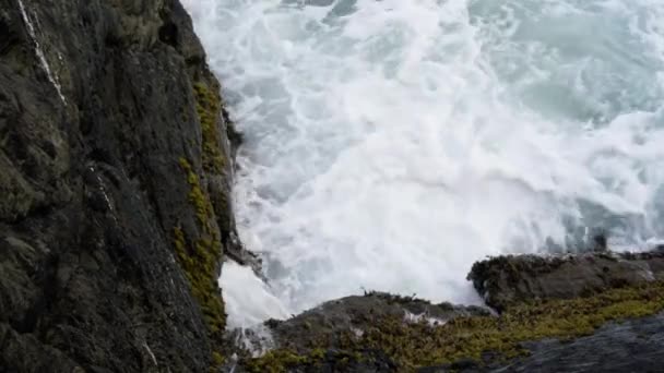 ニューキー港 コーンウォール 英国で苔で覆われた岩に衝突する泡立つ波 高角度 — ストック動画