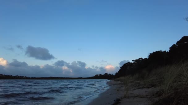 Mężczyzna Spacerujący Plaży Mroźny Zimowy Poranek Tasmania Australia — Wideo stockowe