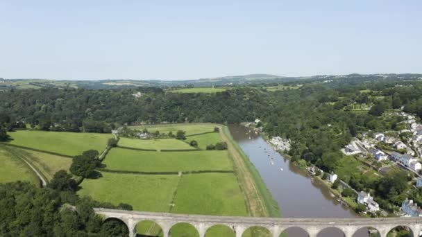 Calstock Railway Viaduct Scenic River Tamar Cornwall Engeland Luchtfoto Drone — Stockvideo