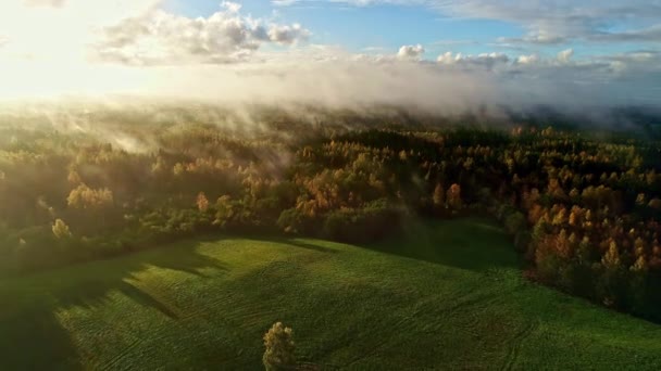 Impresionantes Campos Naturaleza Aérea Cinematográfica Bosque Con Nubes — Vídeos de Stock