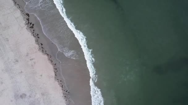 Les Vagues Océan Écrasent Pendant Que Les Amateurs Plage Détendent — Video