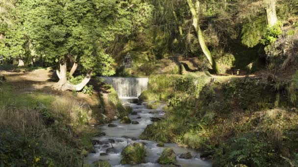 Beautiful Cascades Tregargus Valley Stephen Branne Cornwall Reino Unido Prazo — Vídeo de Stock