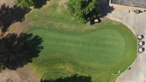 Descendre Sur Terrain Golf Mettre Vert Comme Une Balle Golf — Video