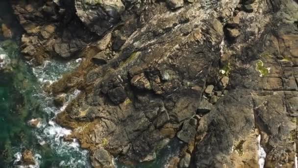 Ives Cornwall Ngiltere Deki Rocky Sahili Nde Köpüklü Dalgalar Sıçrıyor — Stok video