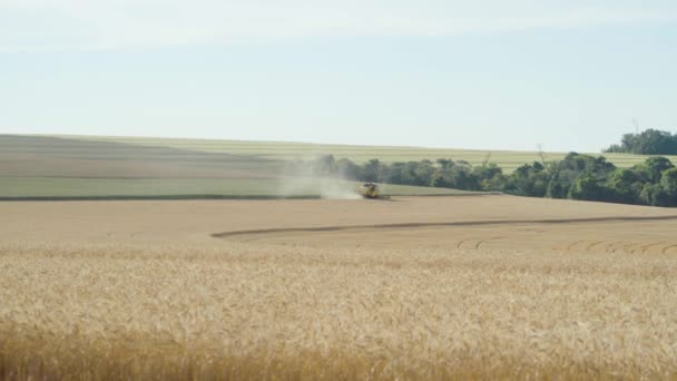 国内で大豆を収穫するシーダートラクターが — ストック動画