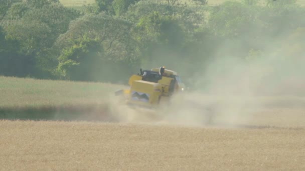 Vue Ensemble Tracteur Semeur Récoltant Soja Dans Champ Sous Angle — Video