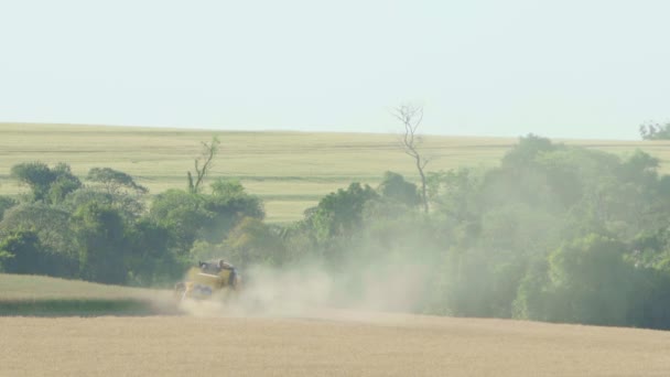 播种机牵引机从后方角度在田里收割大豆的一般镜头 — 图库视频影像