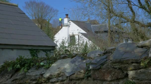 Tree Surgeon Working Distance Countryside Village — Stock Video