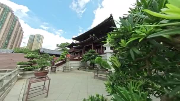 Maitreya Hall Med Bonsai Träd Chi Lin Nunnery Diamond Hill — Stockvideo