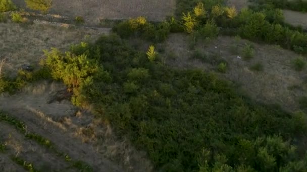 黄金の時間の日没時に農村部の広大な畑の速い空中 — ストック動画