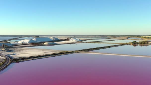 Saltutvinning Luften Lila Sjöarna Medeltida Aigues Mortes Camargue Södra Frankrike — Stockvideo