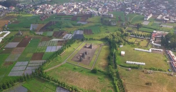 Drone Shot Van Vrij Toestand Van Arjuna Tempel Complex Dieng — Stockvideo
