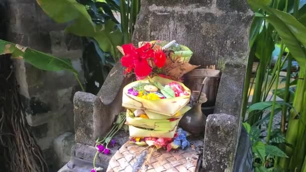 Canang Sari Offrandes Aux Dieux Une Partie Culture Hindoue Sur — Video